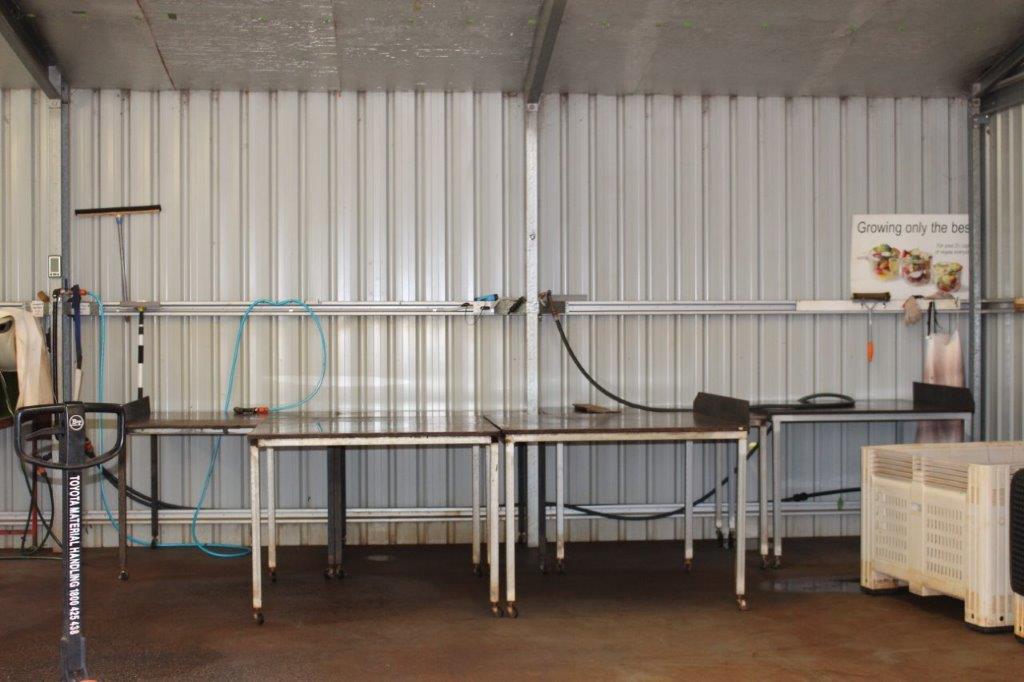 Packing Shed