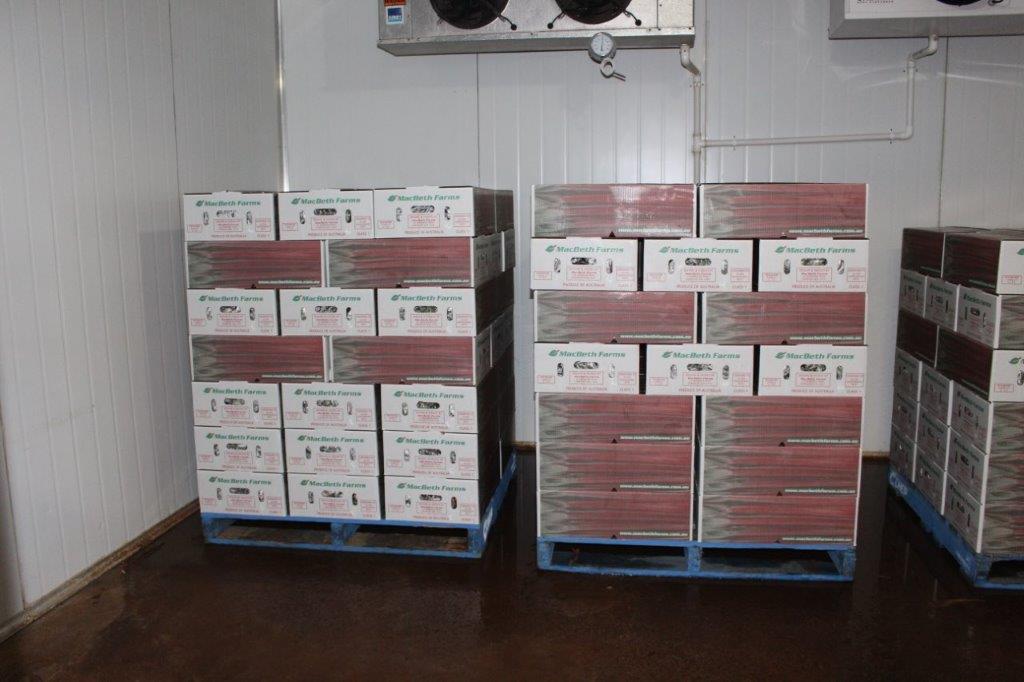 Storage